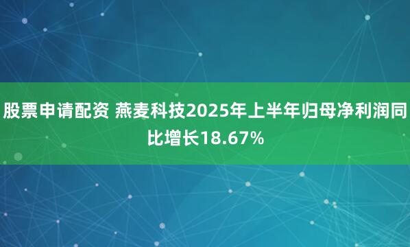股票申请配资 燕麦科技2025年上半年归母净利润同比增长18.67%