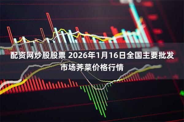 配资网炒股股票 2026年1月16日全国主要批发市场荠菜价格行情